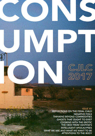 Columbia Journal of Literary Criticism 2017 Consumption Cover Image