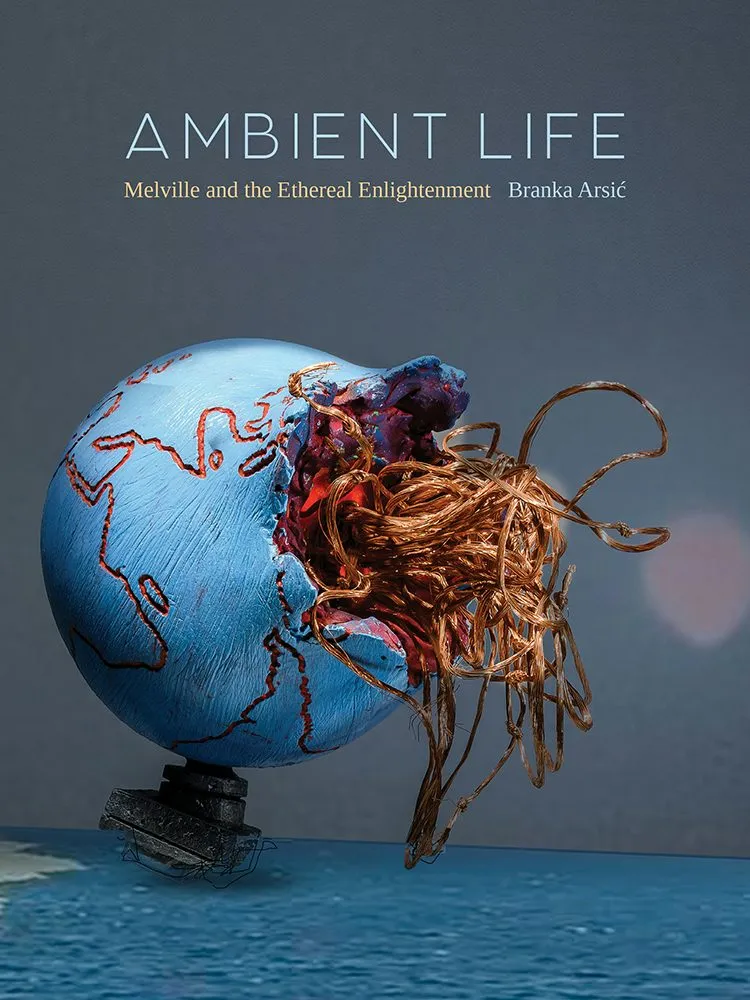 Cover image of the book