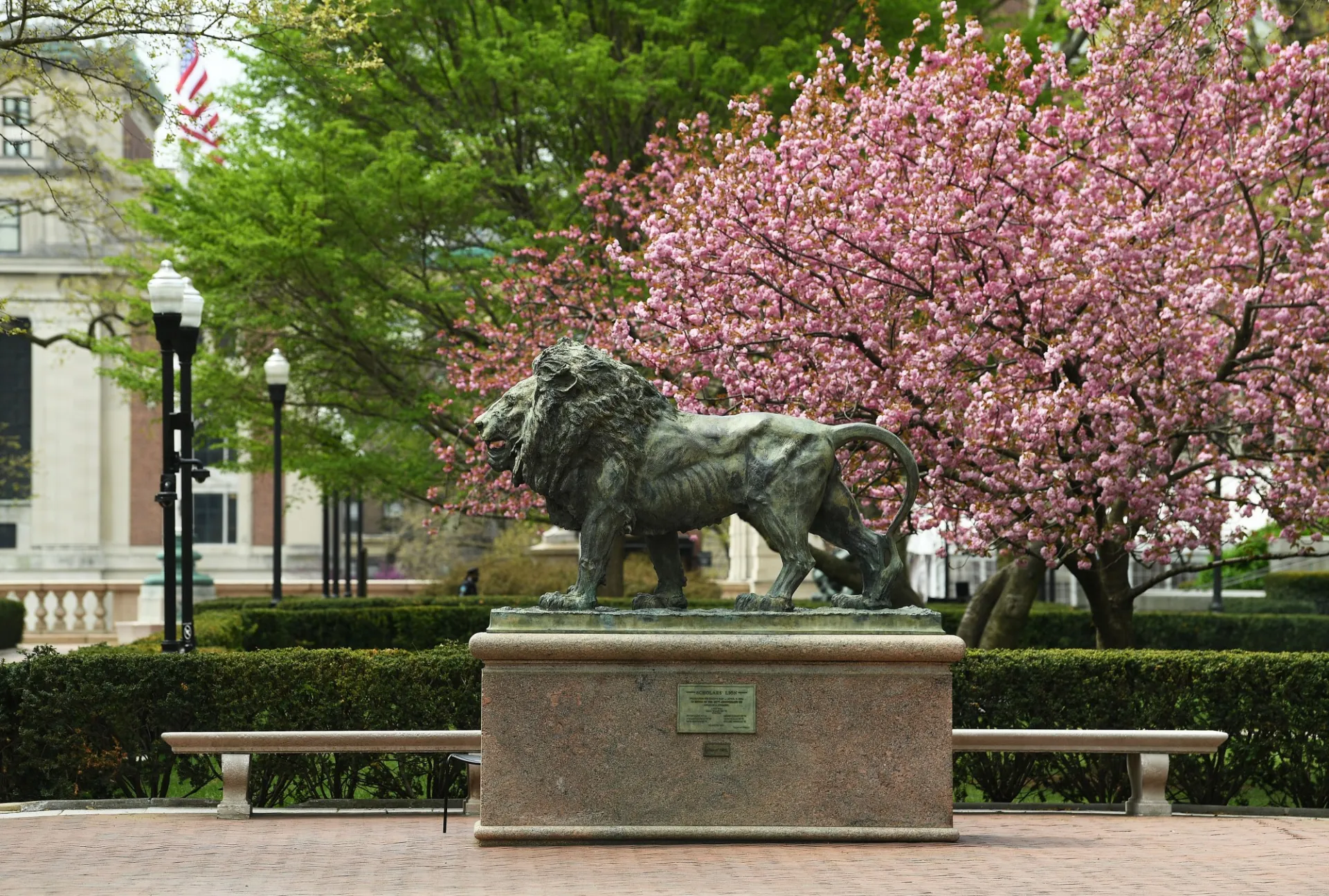 Image of a lion statue on campus