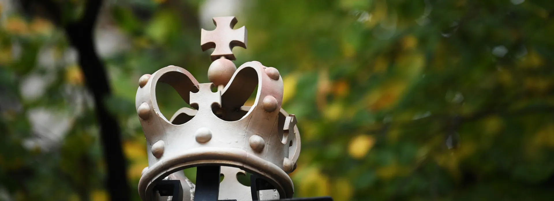 Columbia Crown in the wood