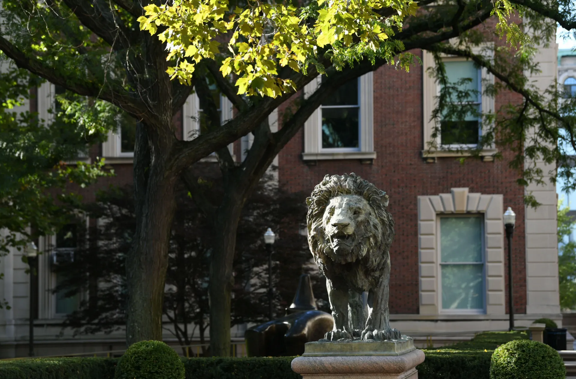 Lion statue in front of math building