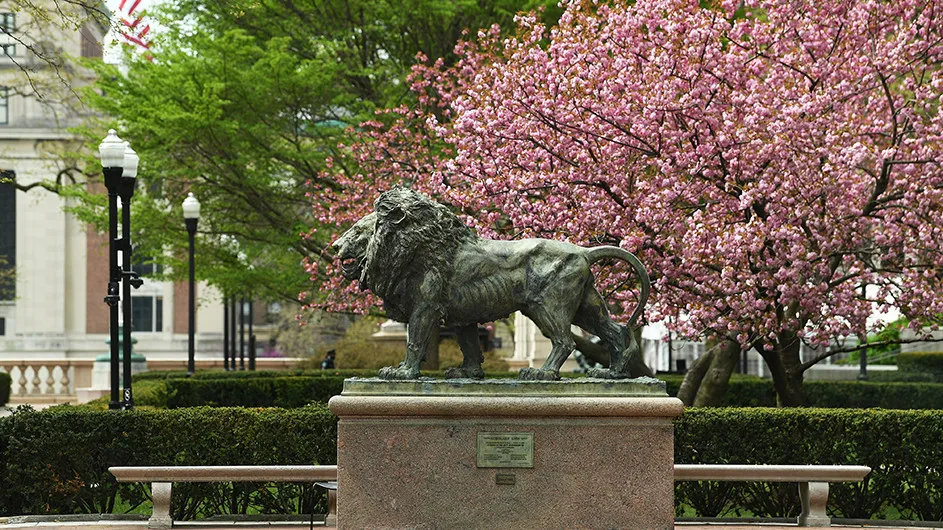 Image of Columbia Lion 